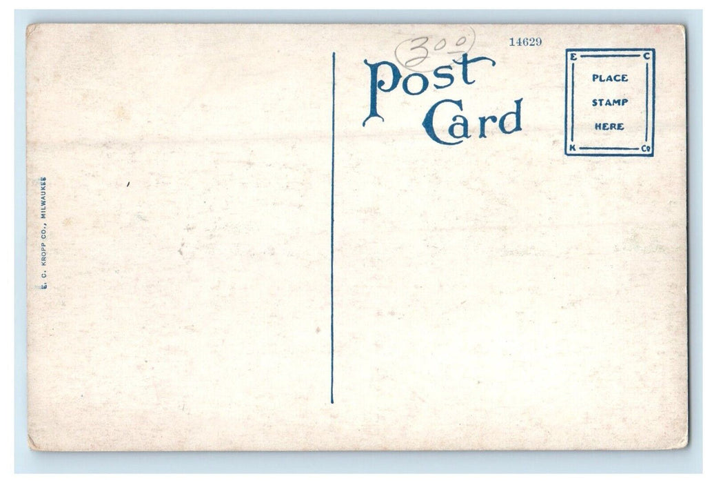 c1910's Hillside College Campus Building Hillside Michigan MI Antique Postcard