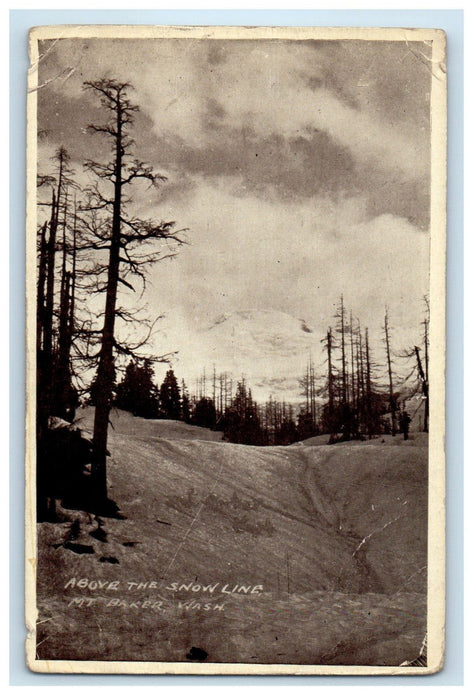 c1910 Above the Snow Line Mt. Baker Washington WA Antique Postcard