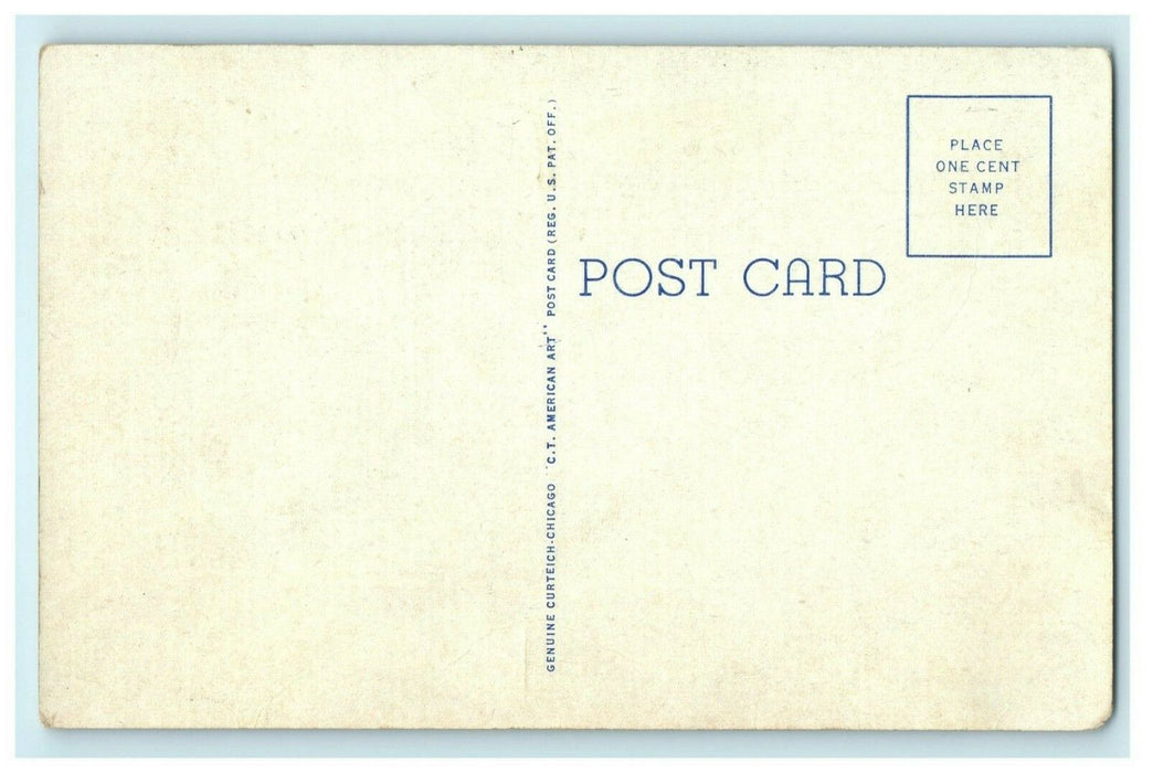 Bathing Beach in Lowell Park Dixon Illinois c1930 Vintage Antique Postcard