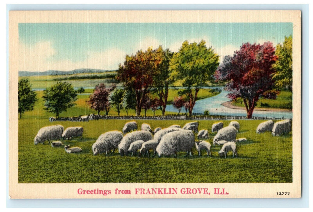 Greetings From Franklin Grove Illinois Sheep c1940's Vintage Antique Postcard