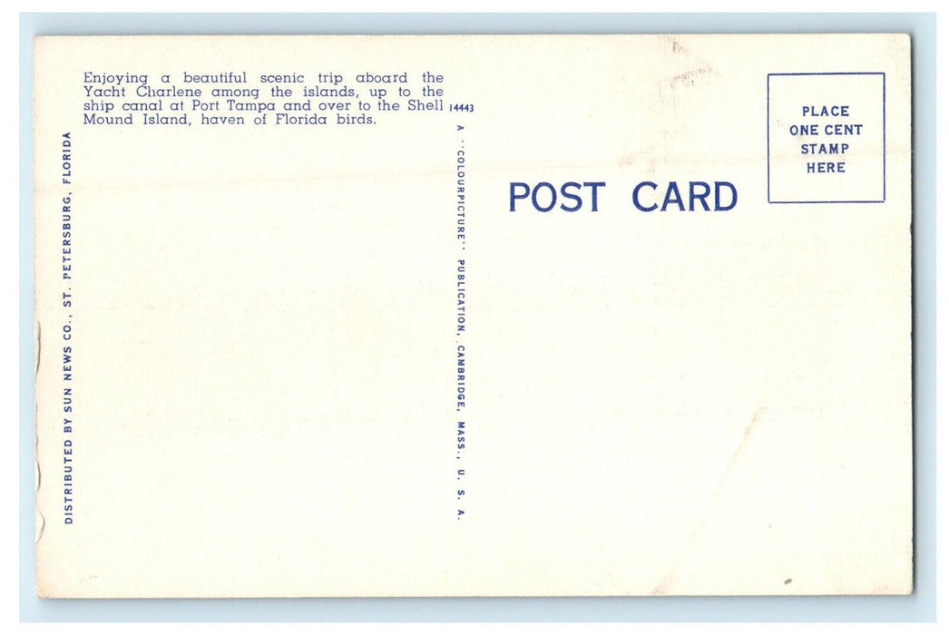 c1940s Excursion on Yacht Charlene, St. Petersburg, Florida FL Unposted Postcard