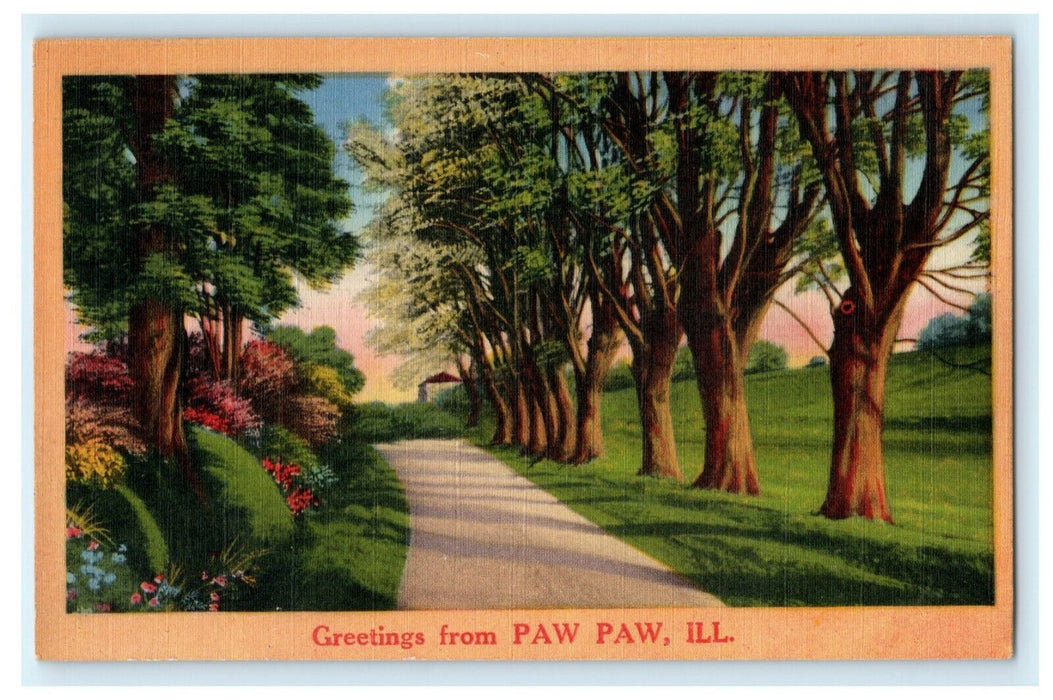 Greetings From Paw Paw Illinois Spring Road c1940 Vintage Antique Postcard