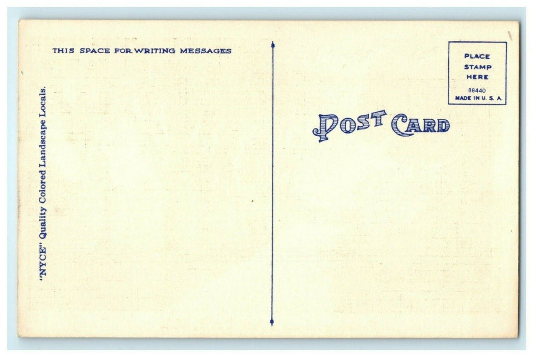 Greetings From Paw Paw Illinois Spring Road c1940 Vintage Antique Postcard