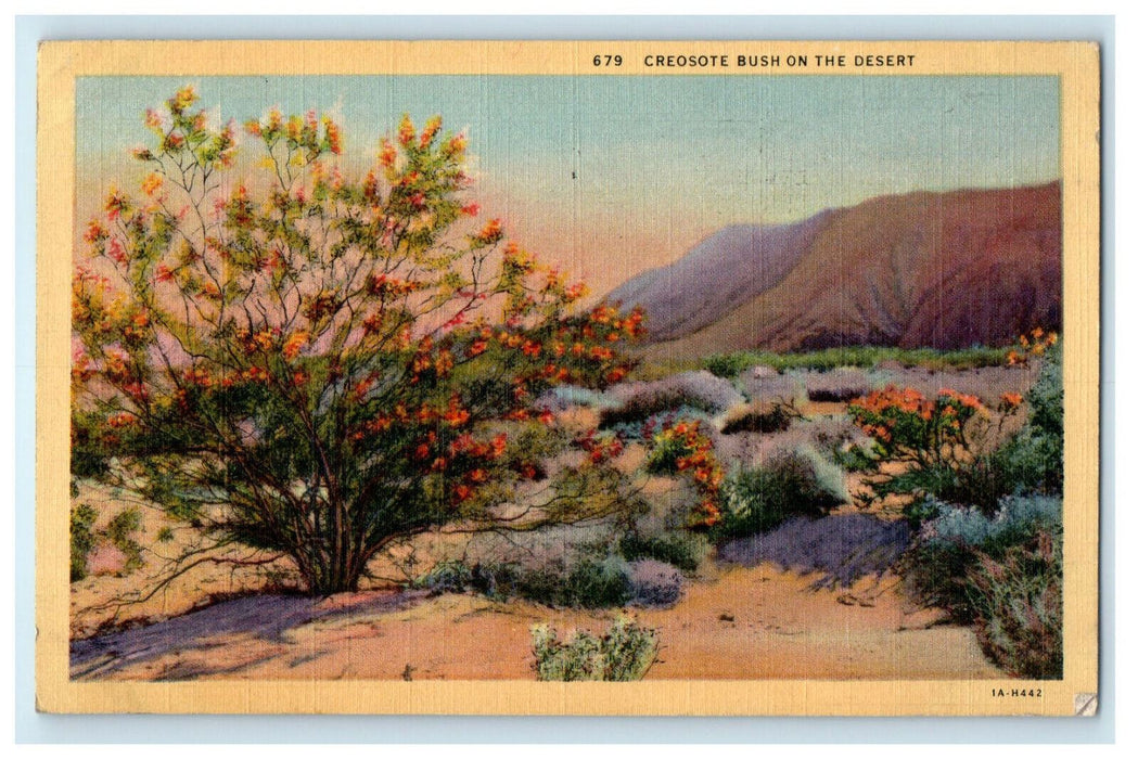 1943 Creosote Bush on The Desert, Arizona AZ Cancel Posted Vintage Postcard