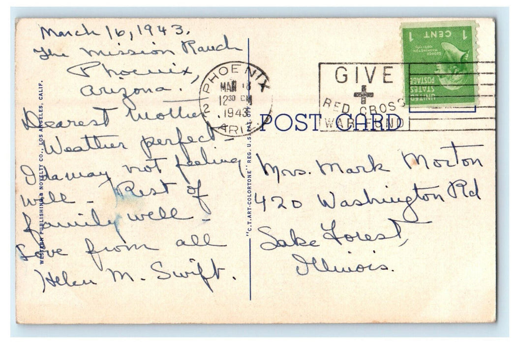 1943 Creosote Bush on The Desert, Arizona AZ Cancel Posted Vintage Postcard
