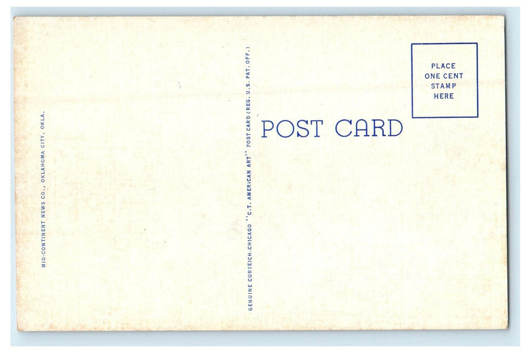 c1930s Buffalo on the Wichita Game Reserve, Near Lawton Oklahoma OK Postcard