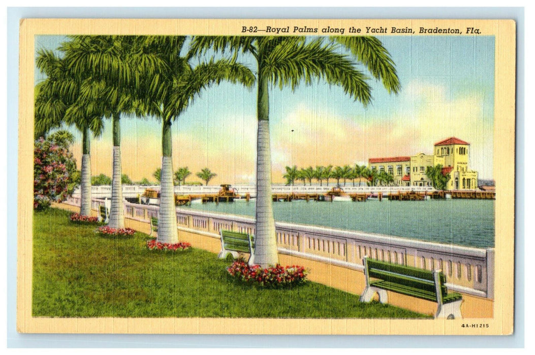 c1930s Royal Palms Along Yacht Basin, Bradenton Florida FL Unposted Postcard