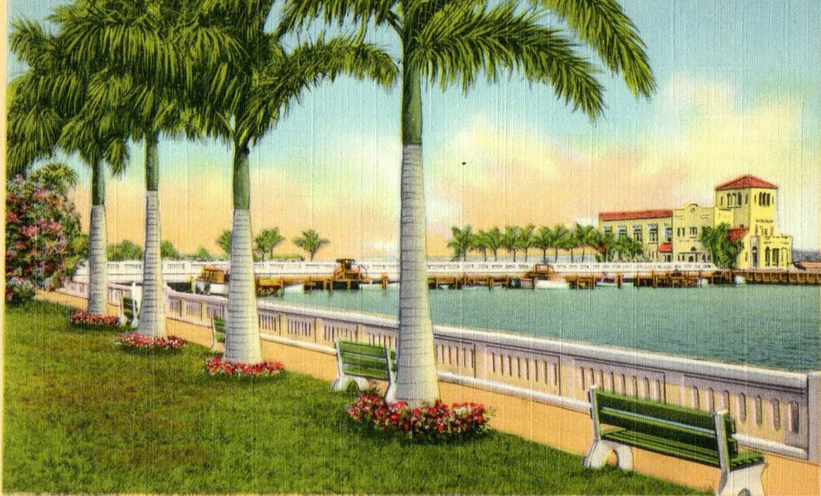 c1930s Royal Palms Along Yacht Basin, Bradenton Florida FL Unposted Postcard