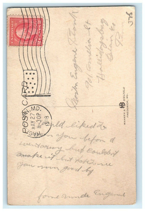 1918 View Of Hotel Braddock,  Braddock Heights Maryland MD Antique Postcard