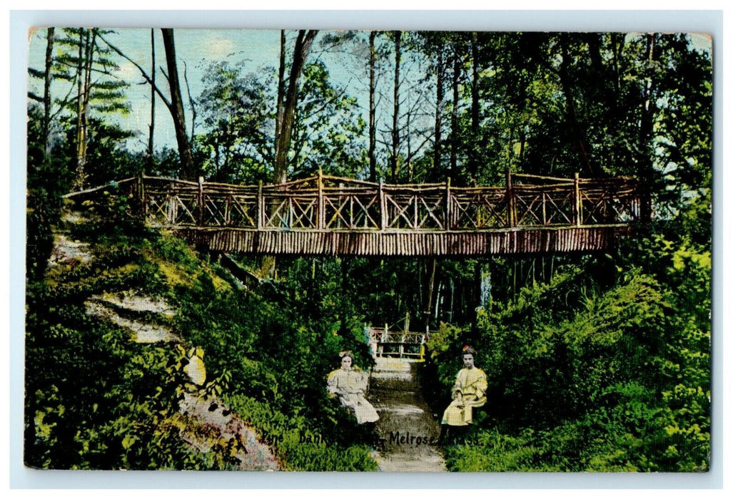 1912 Two Females Sitting at Pine Bank Melrose, Massachusetts MA Postcard