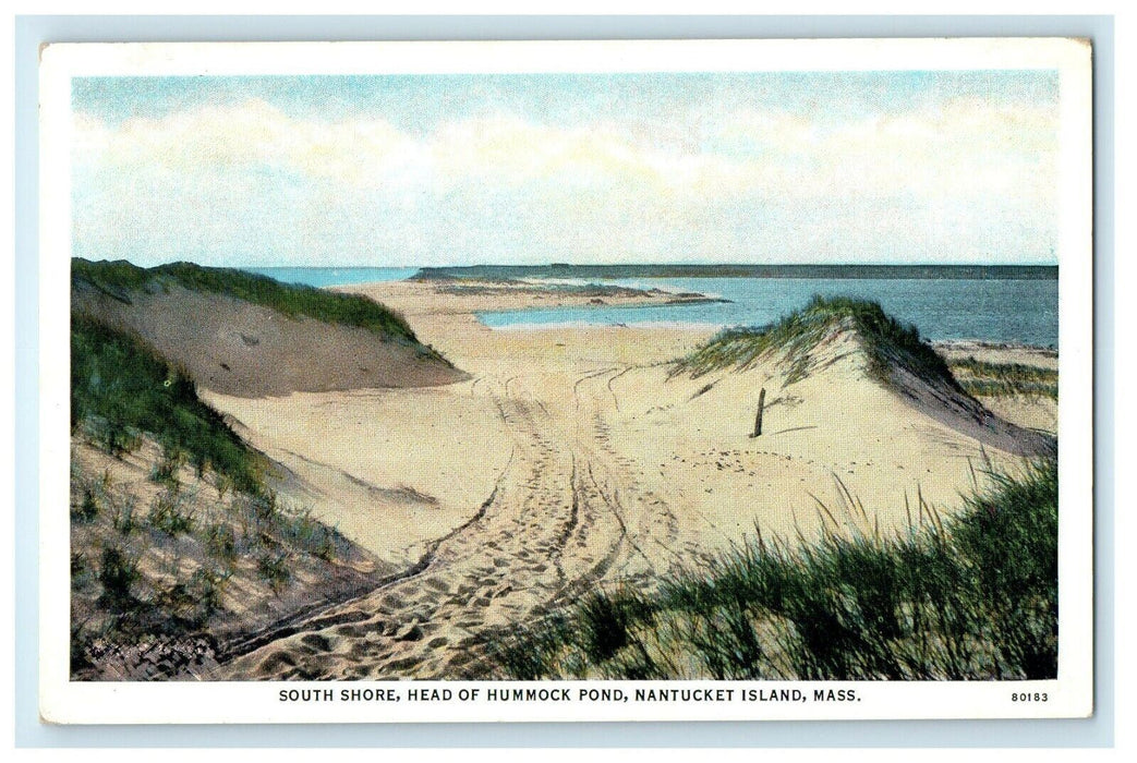 South Shore Head Of Hummock Pond Nantucket Island Massachusetts MA Postcard