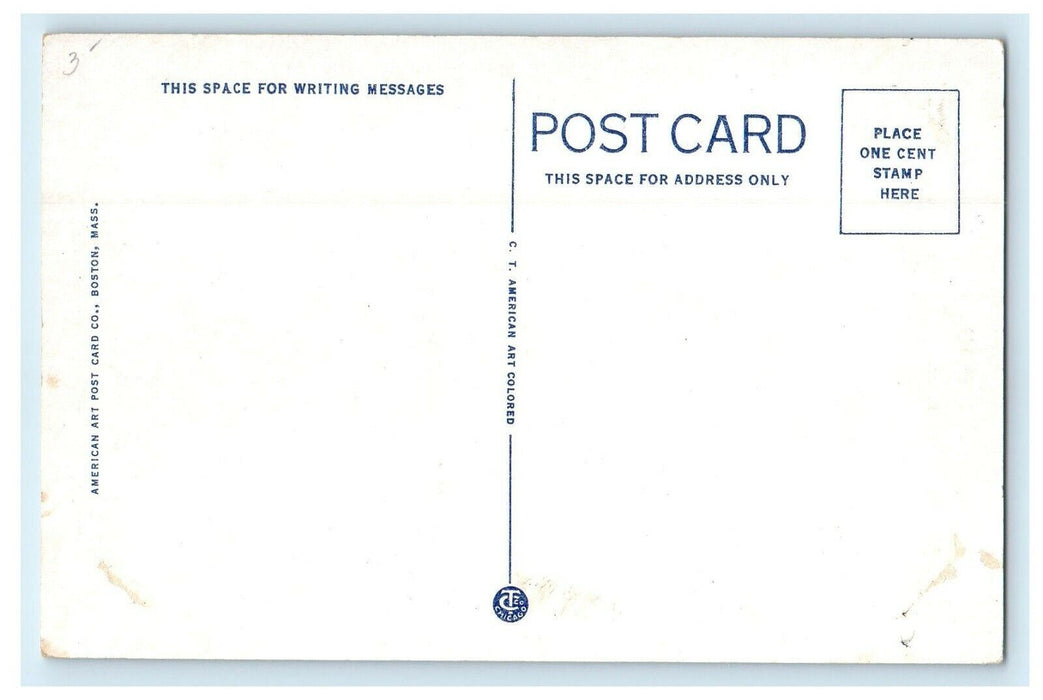 South Shore Head Of Hummock Pond Nantucket Island Massachusetts MA Postcard