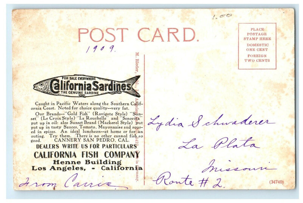 1909 A Typical Palm Drive In Los Angeles CA Sardines Advertising Postcard