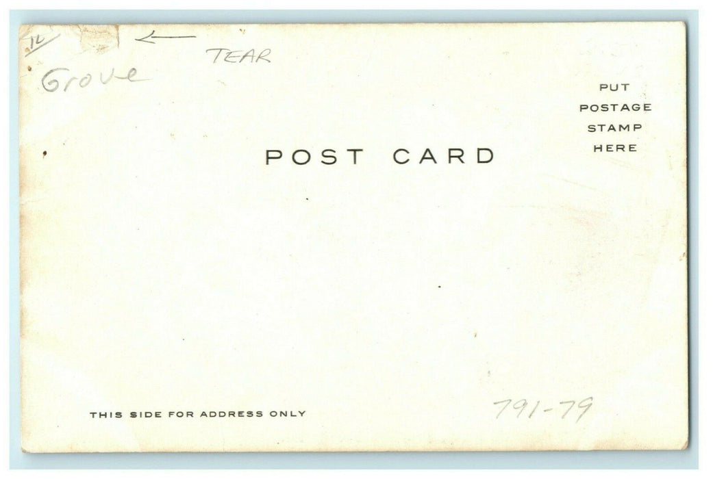 Lover's Leap Franklin Groove Illinois c1905 Vintage Antique Postcard