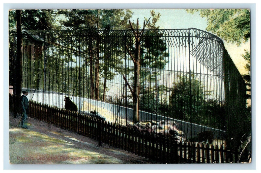 c1910's Bearpit Lexington Park, Lexington Massachusetts MA Antique  Postcard
