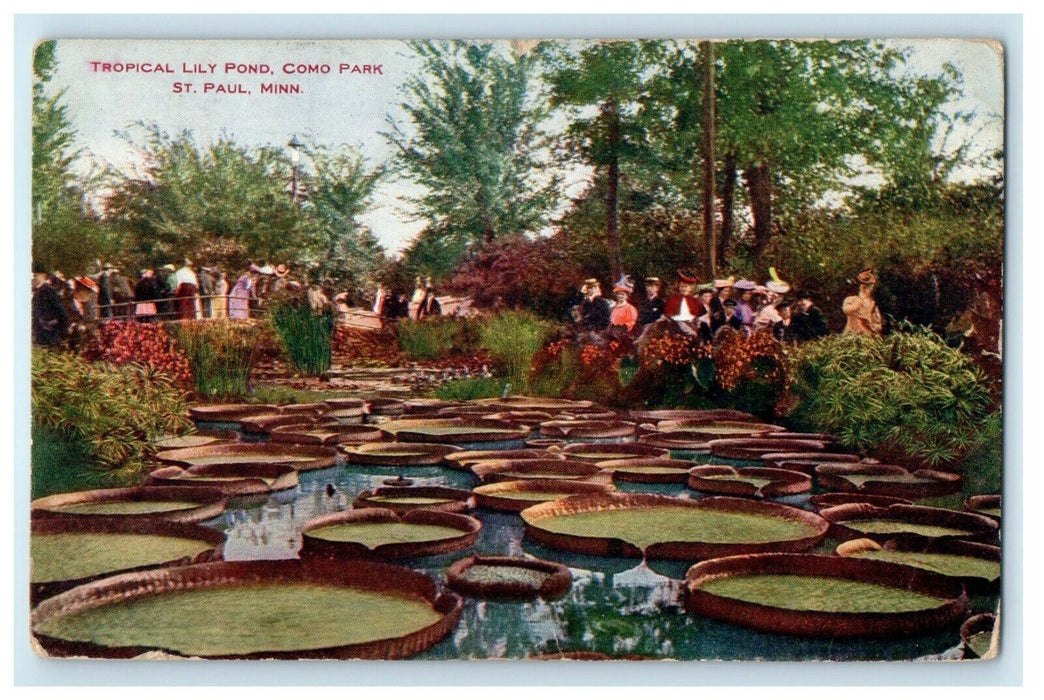 1909 Tropical Lily Pond Como Park St. Paul Minnesota MN Antique Postcard