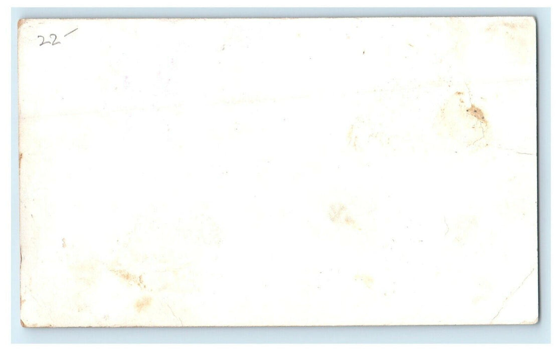 1905 Bay State Nurseries North Abington Massachusetts MA Advertising Postcard