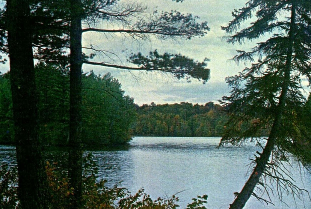 c1950's Greetings From Spooner Wisconsin WI Unposted Vintage Postcard