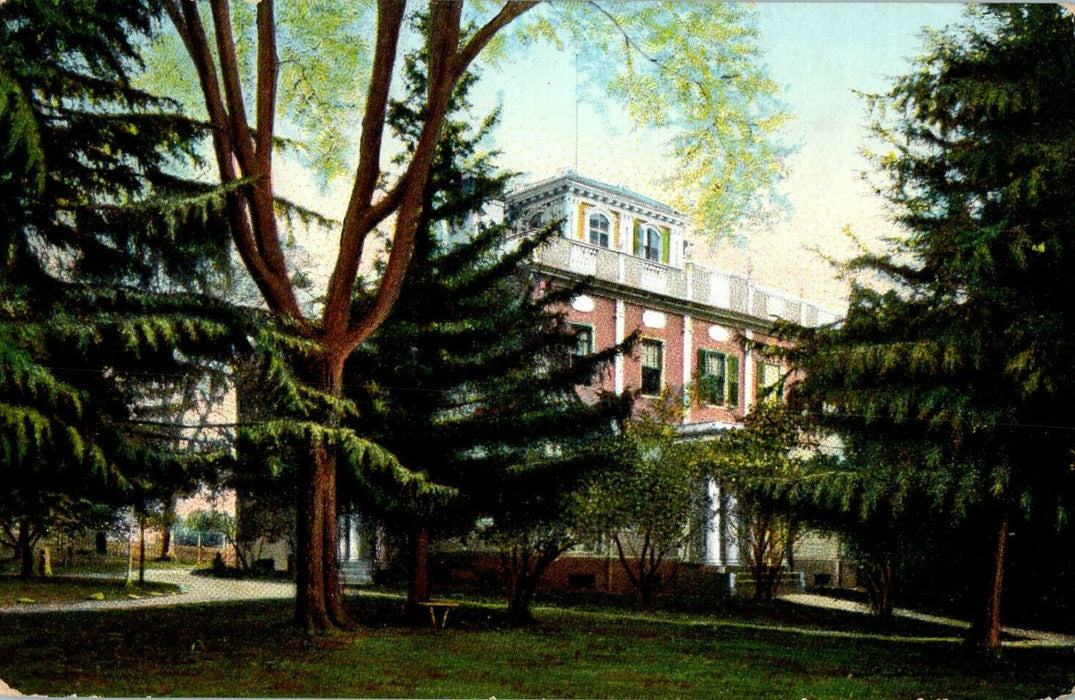c1910s Tree View and Grass Mount, Burlington Vermont Unposted Antique Postcard