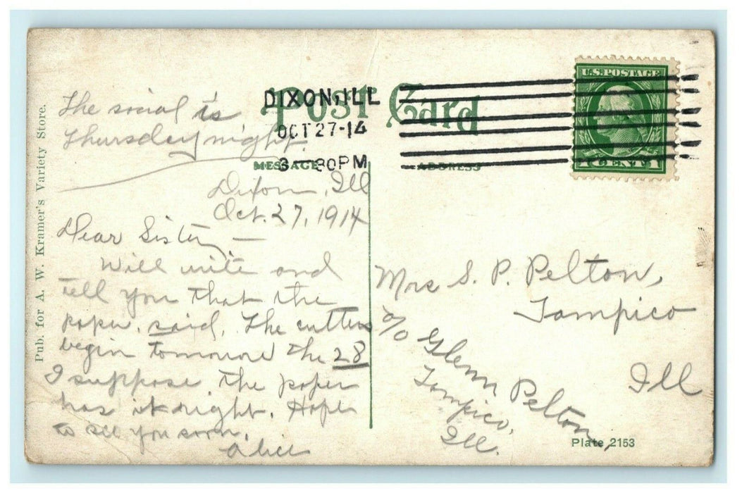 Lowell Park Dixon Illinois 1914 Tampico Lake Vintage Antique Postcard