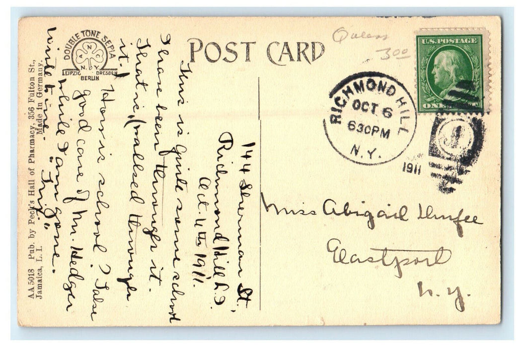 1911 High School View, Jamaica Long Island LI Posted Antique Postcard