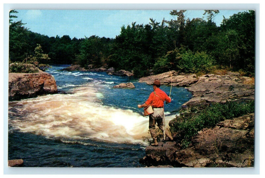Greetings From Acra New York NY Man Fishing On The Rocks Postcard