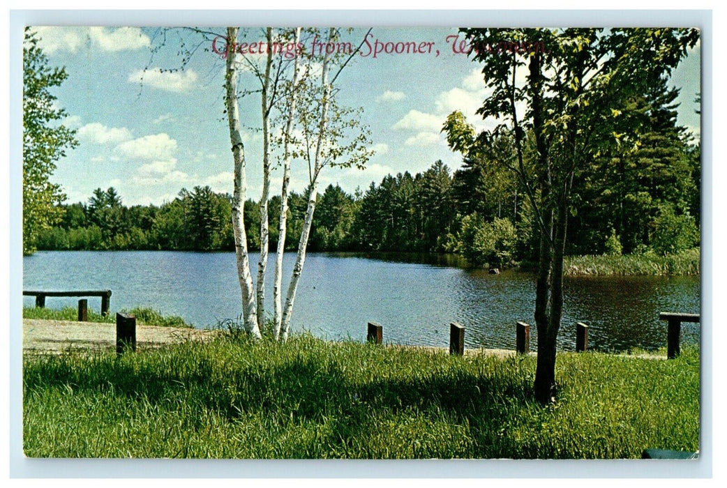 c1950's Greetings From Spooner Wisconsin WI Lake Trees View Postcard