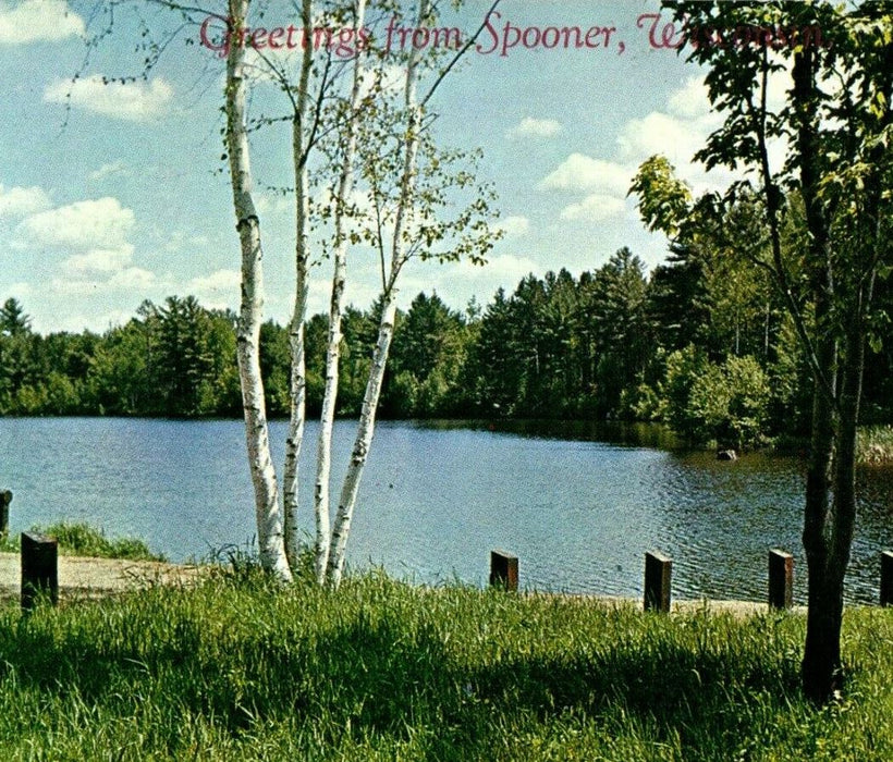 c1950's Greetings From Spooner Wisconsin WI Lake Trees View Postcard