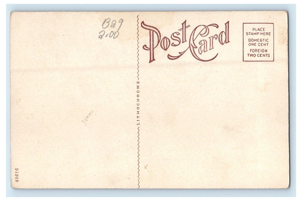 Clarion Iowa IA, High School Building Campus Unposted Antique Postcard