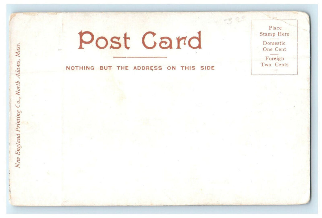 c1905s Aerial View of Buildings, North Adams, Massachusetts MA Unposted Postcard