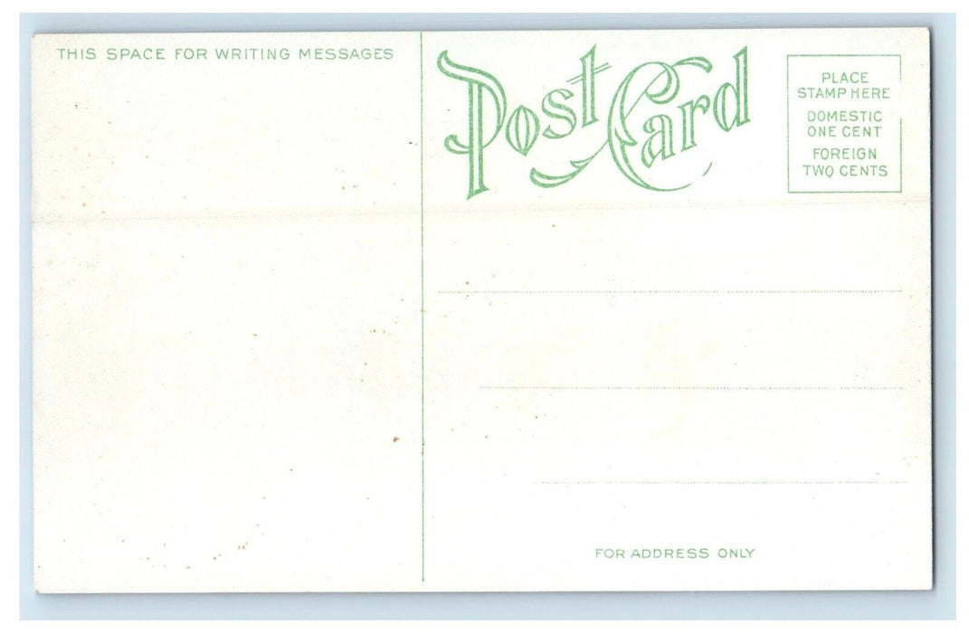 c1910's Along The Shadowy St. Joe River Idaho ID Unposted Antique Postcard