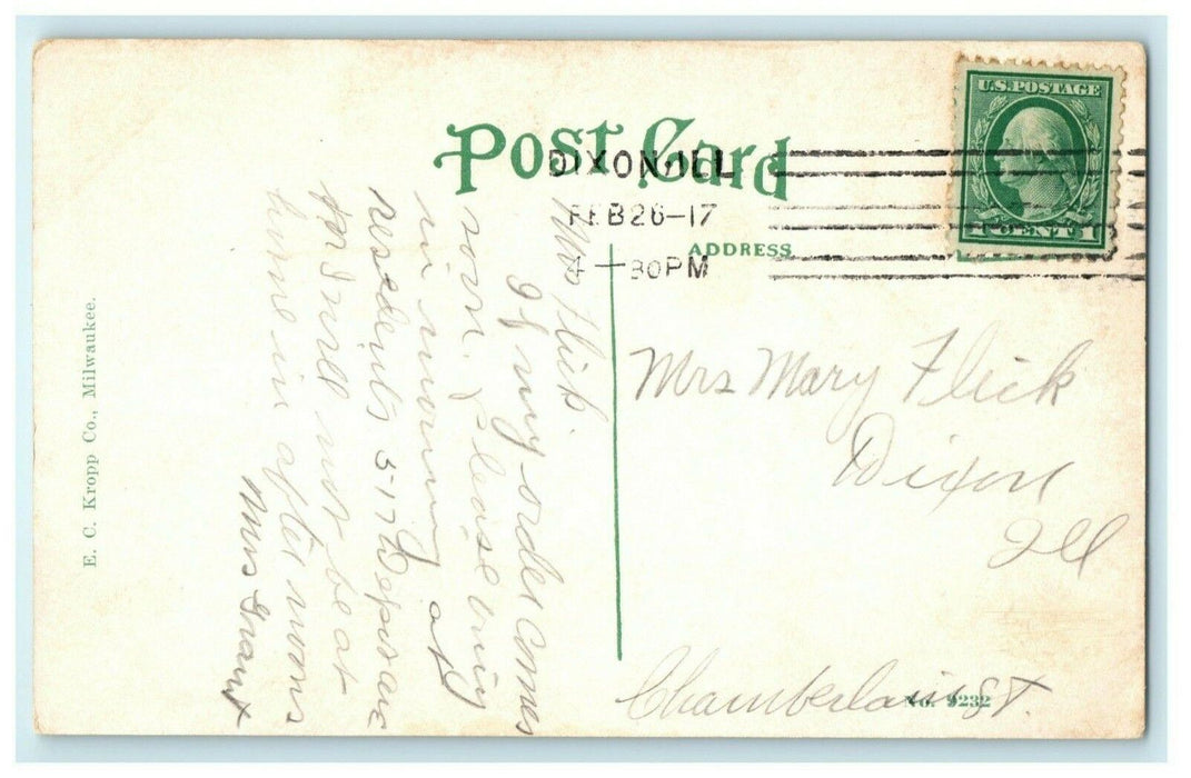 Lee County Court House Dixon Illinois Rotograph 1917 Vintage Antique Postcard