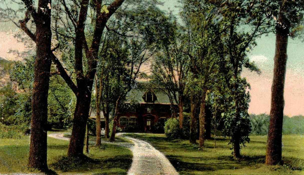 c1905s Trees View, The Old Manse, Concord, Massachusetts MA Unposted Postcard