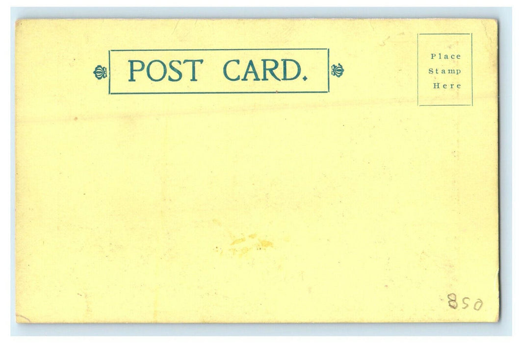 c1905s Lobby, The Grunewald Annex, New Orleans Louisiana LA Unposted Postcard