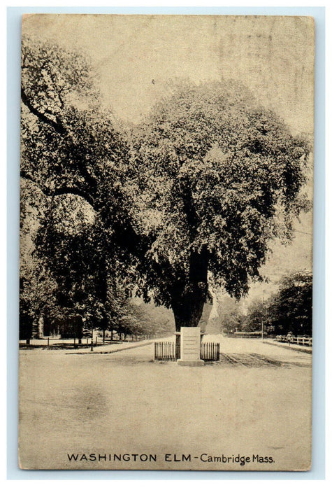 1910 Washington Elm, Cambridge Massachusetts MA Antique Cancel Postcard