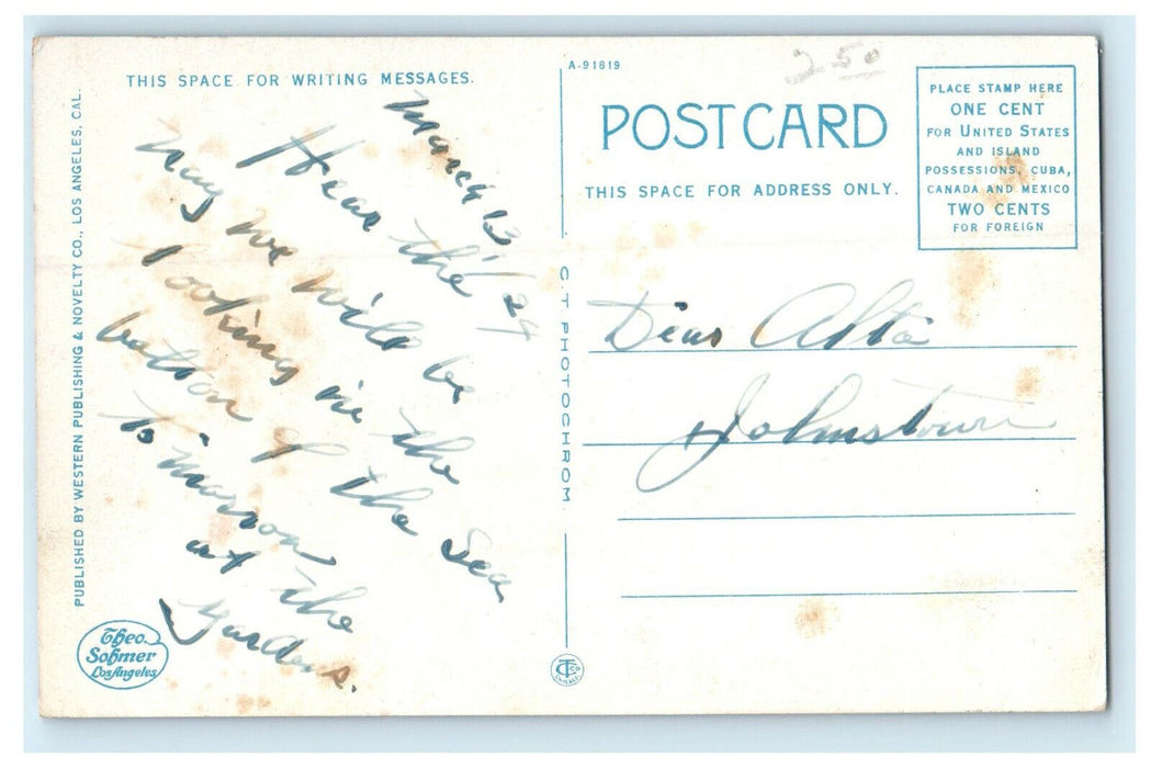 c1920s Viewing The Submarine Gardens, Catalina Island California CA Postcard