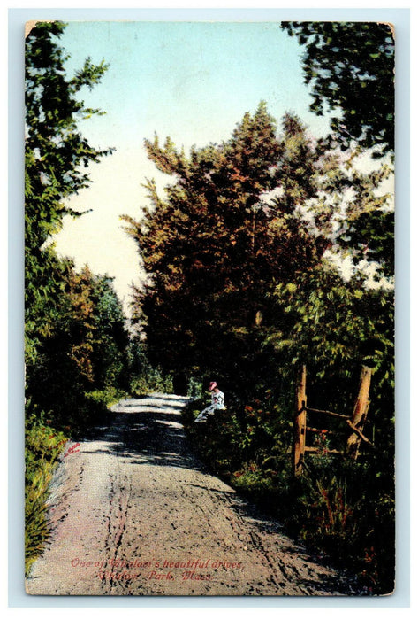 1917 One of Whalom's Beautiful Drives, Whalom Park, Massachusetts MA  Postcard