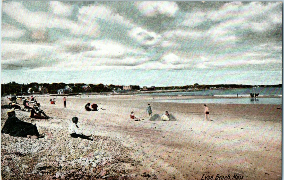 c1910s Crowd Sitting in Sand, Lynn Beach Massachusetts MA Unposted Postcard