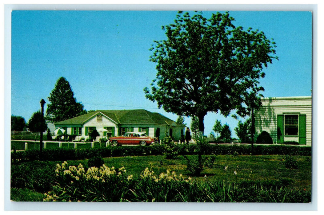 1956 Greyhound Inn Restaurant Somerset Kentucky KY Unposted Postcard