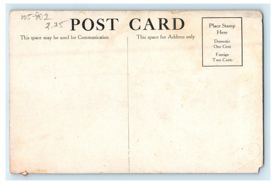c1910's Reinboth's Buffet Restaurant Interior Amboy Illinois IL Antique Postcard