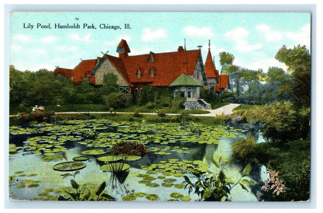 c1910's Lily Pond Humboldt Park Chicago Illinois IL Unposted Antique Postcard