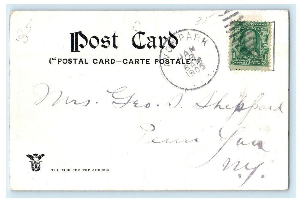 1905 On The Suwanee River Florida FL Girl And Boys Canoeing Avon Park Postcard