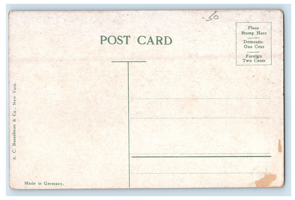 c1910 Weed Park Club House, Muscatine Iowa IA Unposted Antique Postcard