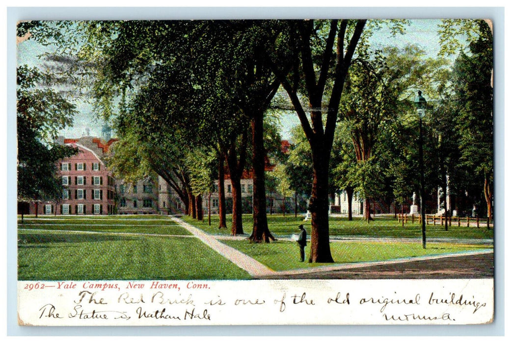 1906 Yale Campus New Haven Connecticut CT Posted Antique Postcard
