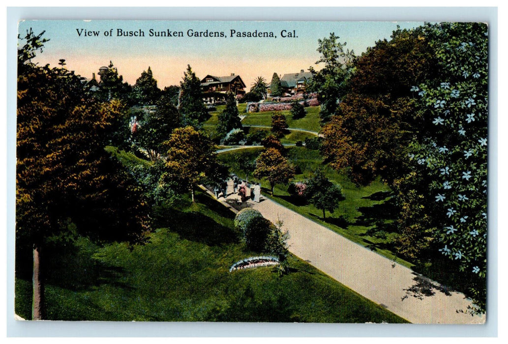 c1910 View of Busch Sunken Garden Pasadena CA Unposted Antique Postcard