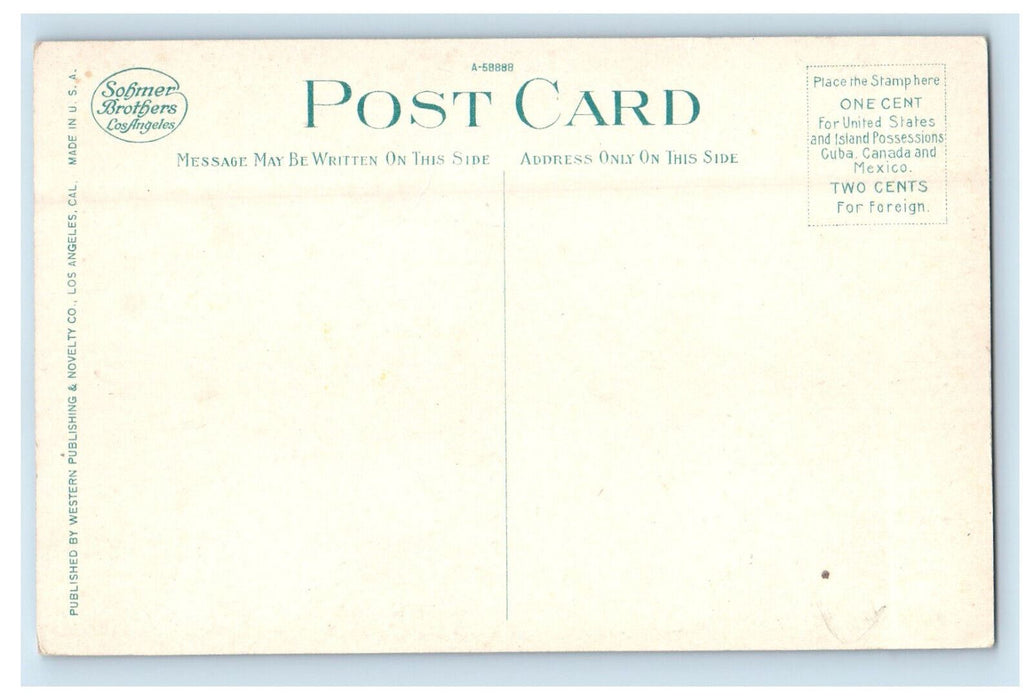 c1910 View of Busch Sunken Garden Pasadena CA Unposted Antique Postcard