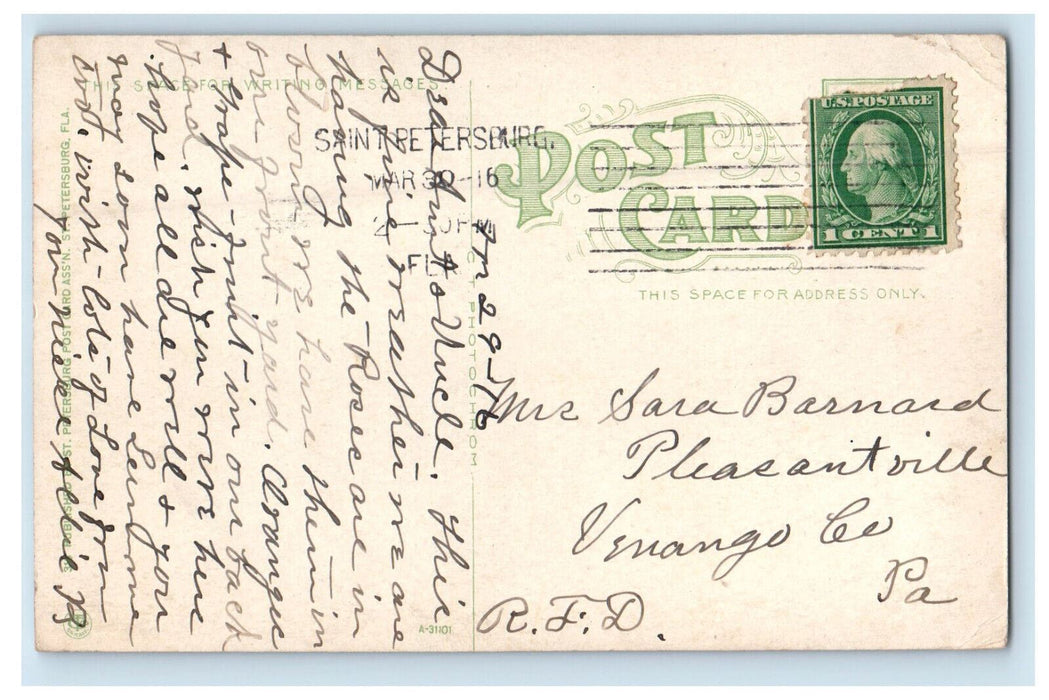 1916 The Fisherman's Busy Day, St. Petersburg FL Posted Antique Postcard