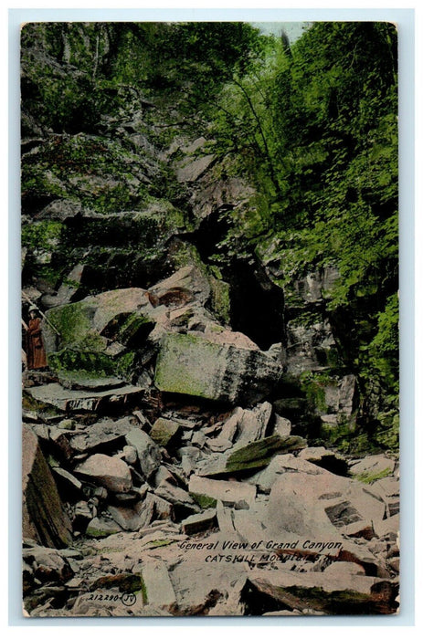 c1910's General View Of Grand Canyon Catskill Mountains New York NY Postcard