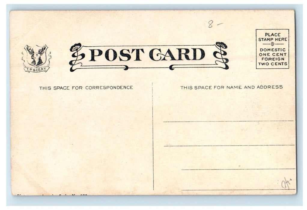 c1910 Moccasin Bend, Chattanooga Tennessee TN Unposted Antique Postcard