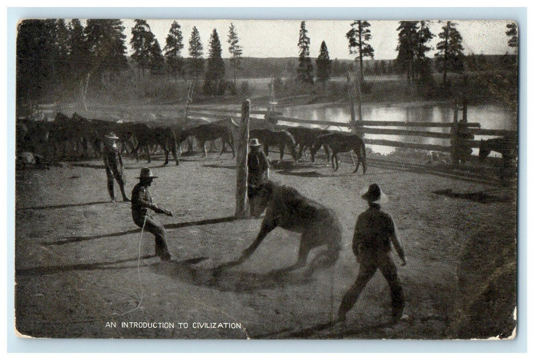 c1910's An Introduction To Civilization Man Horse Fighting Antique Postcard